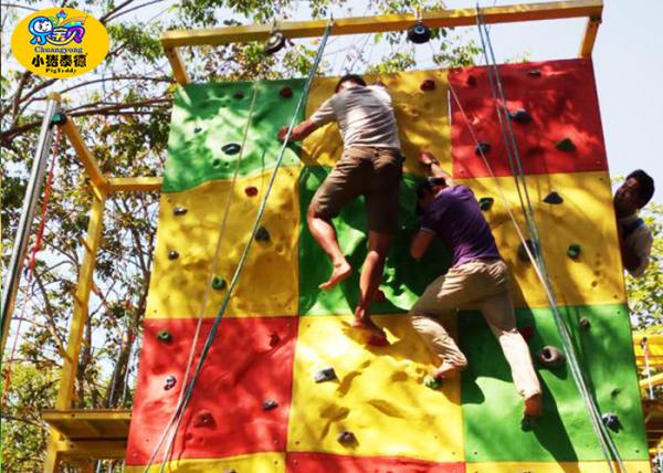 Quality Commercial Childrens Rock Climbing Wall , Fiberglass Kids Indoor Climbing Wall for sale