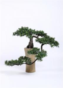 Wholesale Interior Artificial Bonsai Plants Subtle Tropical Feel High Simulation from china suppliers