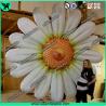 Buy cheap Wedding Event Party Hanging Decoration Inflatable Flower With LED Light from wholesalers