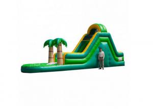 Wholesale Outdoor Party Big Inflatable Water Slide For Tropical Backyard from china suppliers