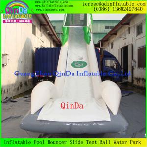 Wholesale Enjoy Giant Inflatable Water Slide For Adult, Inflatable Toy, Adults Inflatable Slide from china suppliers