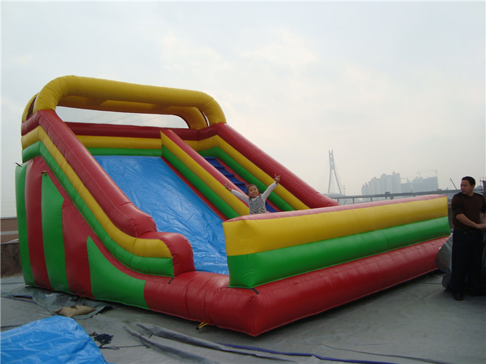Garden Double Large Inflatable Slide Party Rentals Muti Colored Wear Resistance