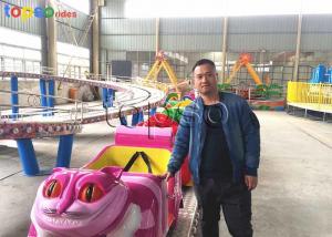 Wholesale Carnival Shuttle 380V Mini Roller Coaster For Toddlers  20 Seat 1.9 M Height from china suppliers