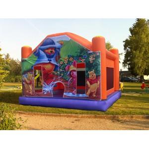 Wholesale hot sales inflatable bouncer/ castle/combo from china suppliers