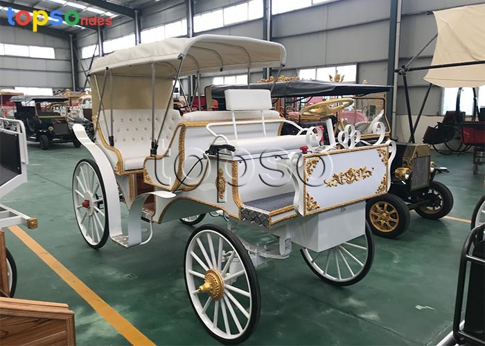 Wholesale Tourist Large Cinderella Carriage For Birthday Party Generous Style 500KG from china suppliers