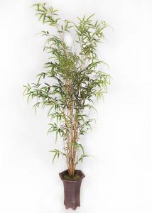 Wholesale Bamboo Realistic Fake Plants Real Trunk For Home Design Color Change Leaves from china suppliers