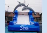 5m high commercial grade Inflatable Backyard Water Slide with Double Dolphinfor