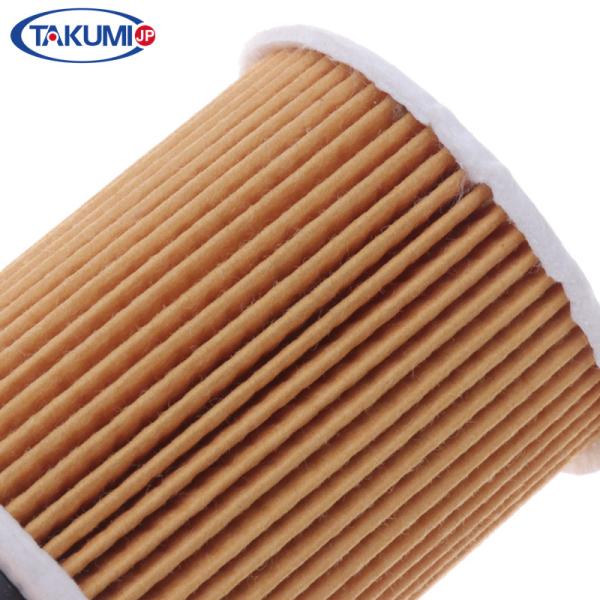 TS 16949 Engine Oil Filter Element For BMW MINI 11427509208