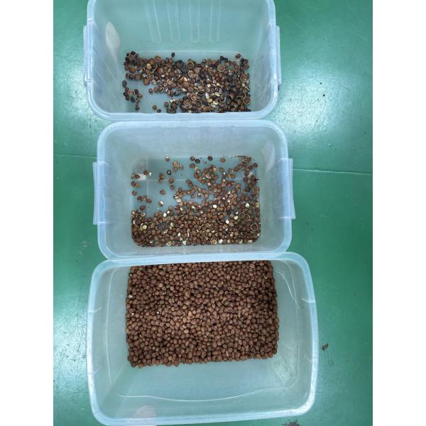 High Speed Hazelnut Color Sorter Intelligent Nuts Color Sorting Machine