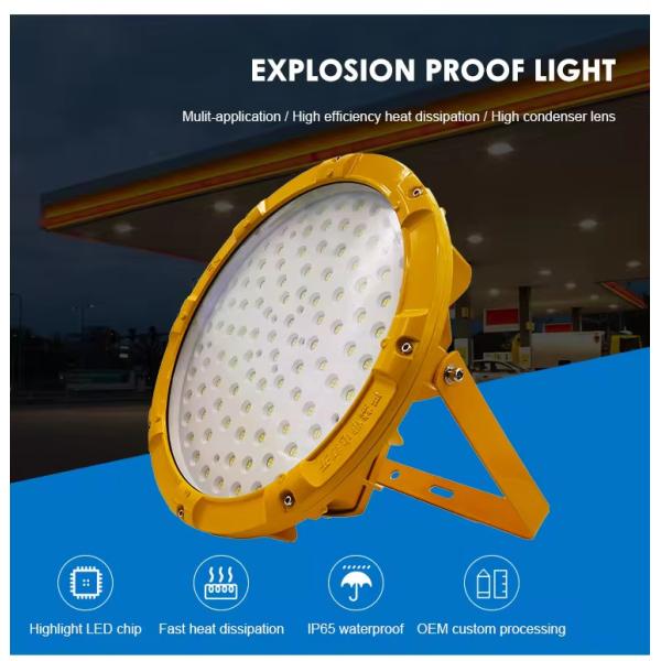IP65 Waterproof Energy Saving LED Explosion Proof Light 50W-300W for Hazardous Locations