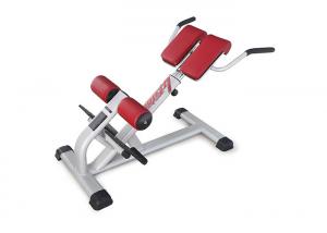 China Pro Commercial Gym Rack And Exercise Equipment Back Extension Bench on sale