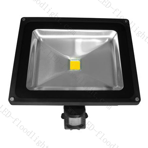 20W led flood light / 12V~24V 20W LED Flood light PIR Series