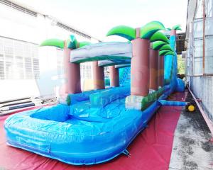 Wholesale Long Palm Tree Commercial Bounce House Water Slide Multi Color from china suppliers