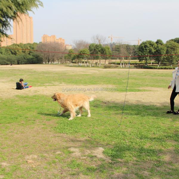 Aerial Dog Chain for Outside