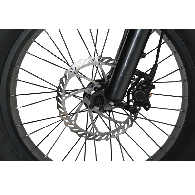 LCD Display 20" Mid Drive Electric Bike with 48v 750w Motor and Customized Fat Tire