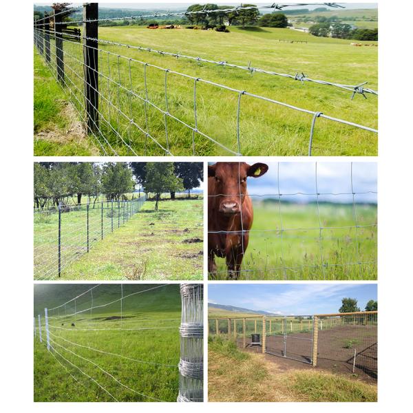 Hot Dipped Galvanized Tightlock Wire Mesh Security Fence Netting For Deer Fence