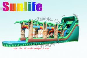 China Huge Double & Triple Stitches Outdoor Inflatable Long Water Slide With Bouncy Pool on sale
