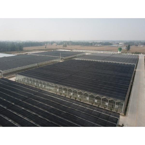 Economical European Polycarbonate Greenhouse with Roof and Side Ventilation Panels