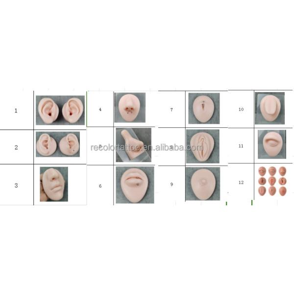 Silicone Tattoo Model for Practice Human Body Ear Nose Lip Display Piercing Training Permanent Makeup Tool