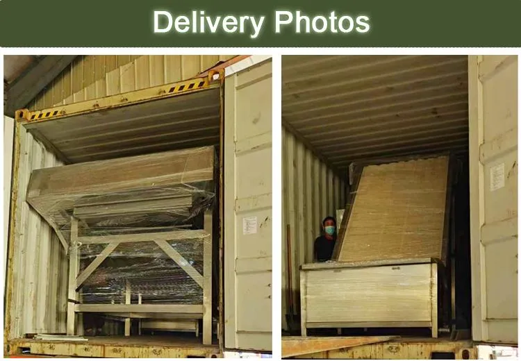 Shrimp Shell Remover Peeling and Shelling Machine for Shrimp Processing