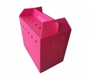 China New Style polypropylene corrugated plastic danpla sheet carton box boxes pp hollow corflute packaging on sale