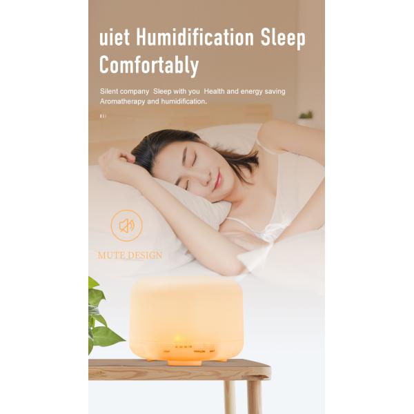 HOMEFISH Ultrasonic Aroma Humidifier Diffuser Humidistat DC 24V 0.5A