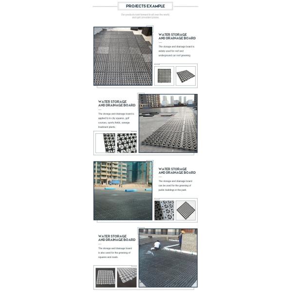 10mm Plastic HDPE Dimple Board For Waterproofing