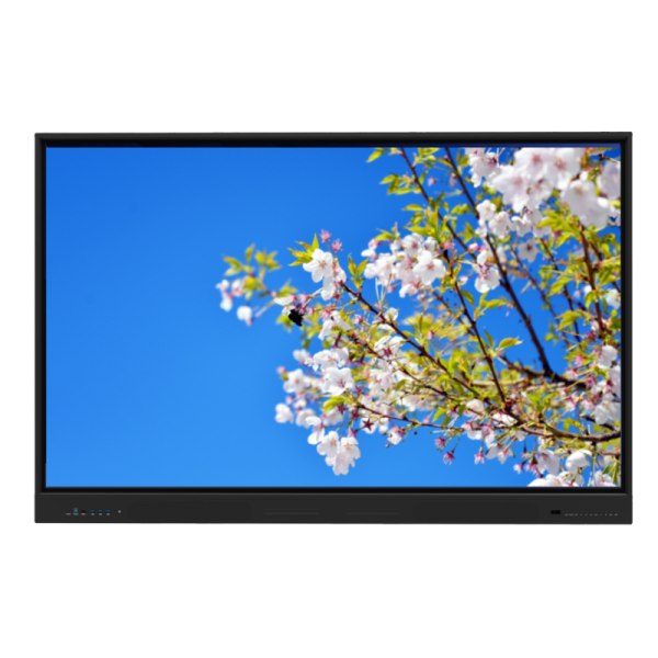 Interactive whiteboard display in educational setting