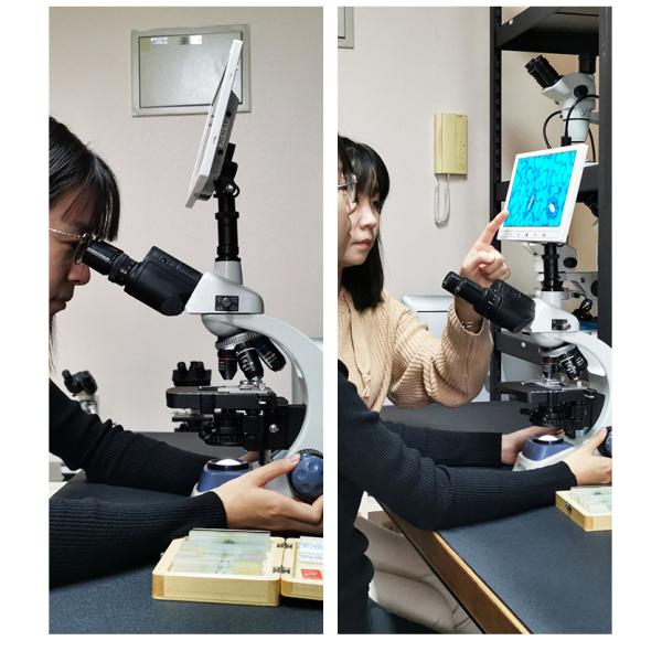 Beginner Level 1000x LED Compound Trinocular Microscope