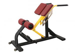 China Pro Commercial Gym Rack And Fitness Equipment Roman Ab Exercise Chair on sale
