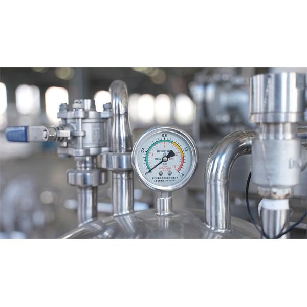 Stainless Steel Mango Processing Line with Customizable Features