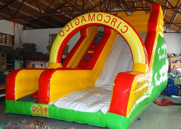 Custom Mixed Color Big Children Inflatable Dry or Wet Slide Bouncer Slide Inflatable