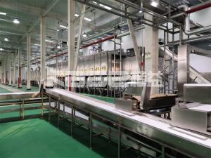 Wholesale Large Capacity Commercial New Pattern Rose Flower Drying Machine Hops Drying Oven Machine Belt Conveyor Dehydrator from china suppliers