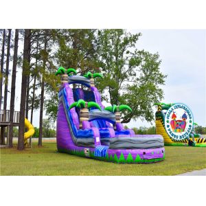 Summer Inflatable Water Slides For Adults Blue Purple Color Customized Size