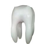 Hot selling 0.25mm PVC(EN71) giant inflatable tooth for advertising