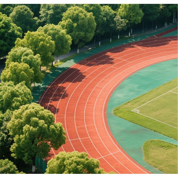 High-Performance Eco-Friendly SBR Rubber Granules for Playground Flooring with Good Resilience