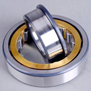 Wholesale Full Complement Cylindrical Roller Bearings NJ205 NJ220 NJ200 Series from china suppliers