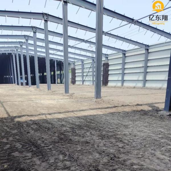 Prefab H-Section Steel Structure Workshop with Bridge Crane