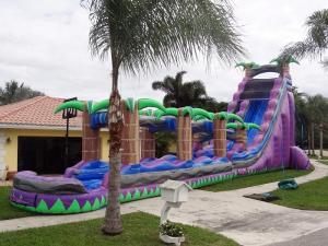 Wholesale Purple Paradise Inflatable Water Slides With Pool / Adult Inflatable Wet Slide from china suppliers