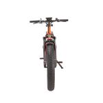 48V 13AH Lithium Battery Multicolored Fat Tire E Bike Powerful 26*4.0 Disc Brake