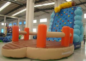 Wholesale Indoor Caterpillar Inflatable Rock Climbing Wall Playground Fire Resistance from china suppliers