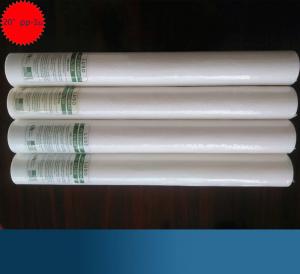 China 1micro pp spun water filter cartridge 20 PP melt blown cartrige filter,pp sediment filters on sale