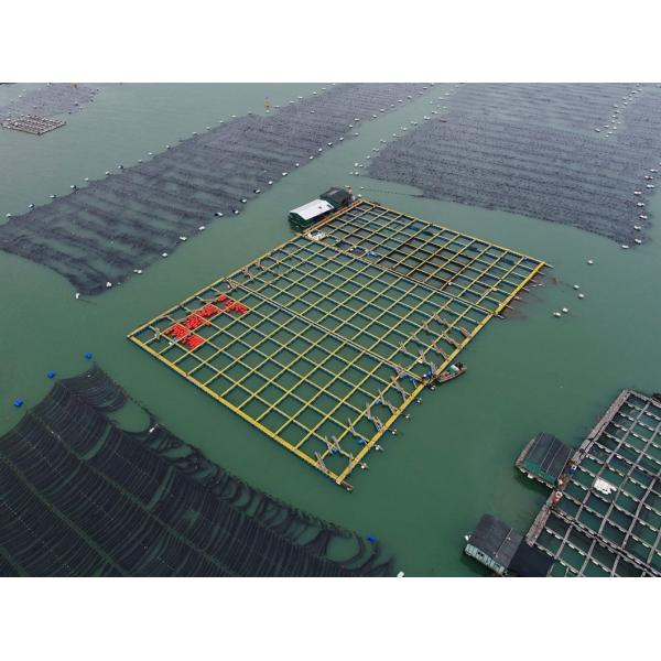Square Pontoon Aquaculture Fish Cage Customization Diameter 10m - 60m