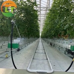 LiTai Greenhouse Galvanized Skeleton Glass Cover Heat Preservation Thermal Insulation