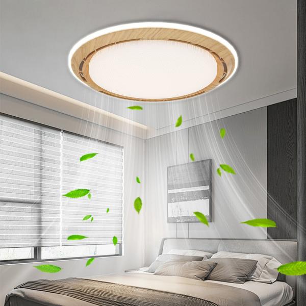 20 Inch LED Bedroom Ceiling Fan Remote Control Flush Mount Ceiling Fan With