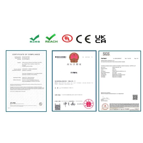 Custom Length PVC Insulation Wire Harness with 100% Testing Inspection for Electronic Applications