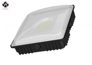 China High Efficiency Commercial IP65 40W LED Canopy Light Petrol Pump Canopy Lights on sale