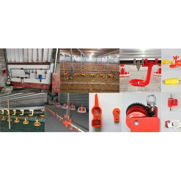 Light Column Construction Poultry House with Low Price Steel Structures