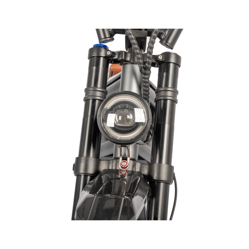 Electric Motorcycles E Bike Dirt Bike MTB Electric Bike with 48V23Ah Lithium Battery