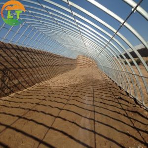 Film Agricultural Solar Greenhouses Maximize Your Vegetable Fruits and Flowers
